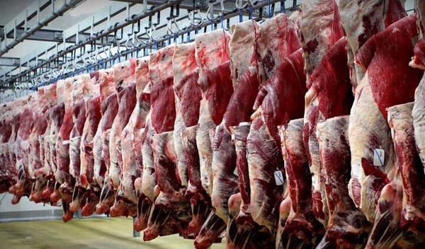 عرضه گوشت بیشتر می‌شود؛ قیمت گوشت با دام زنده تناسب ندارد